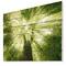 Designart - Sunlight Peeking through Green Tree - Landscape Print on Natural Pine Wood